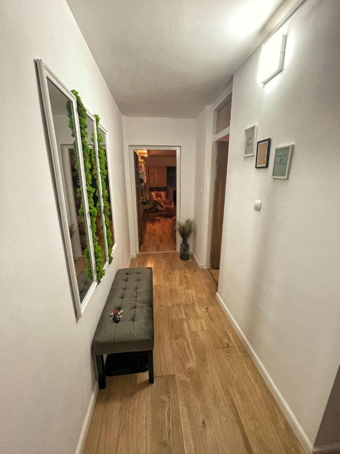 Magnolia Stay Bistriţa Kültér fotó
